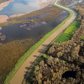 Kızılırmak Delta Wetland