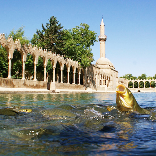 Harran & Sanliurfa